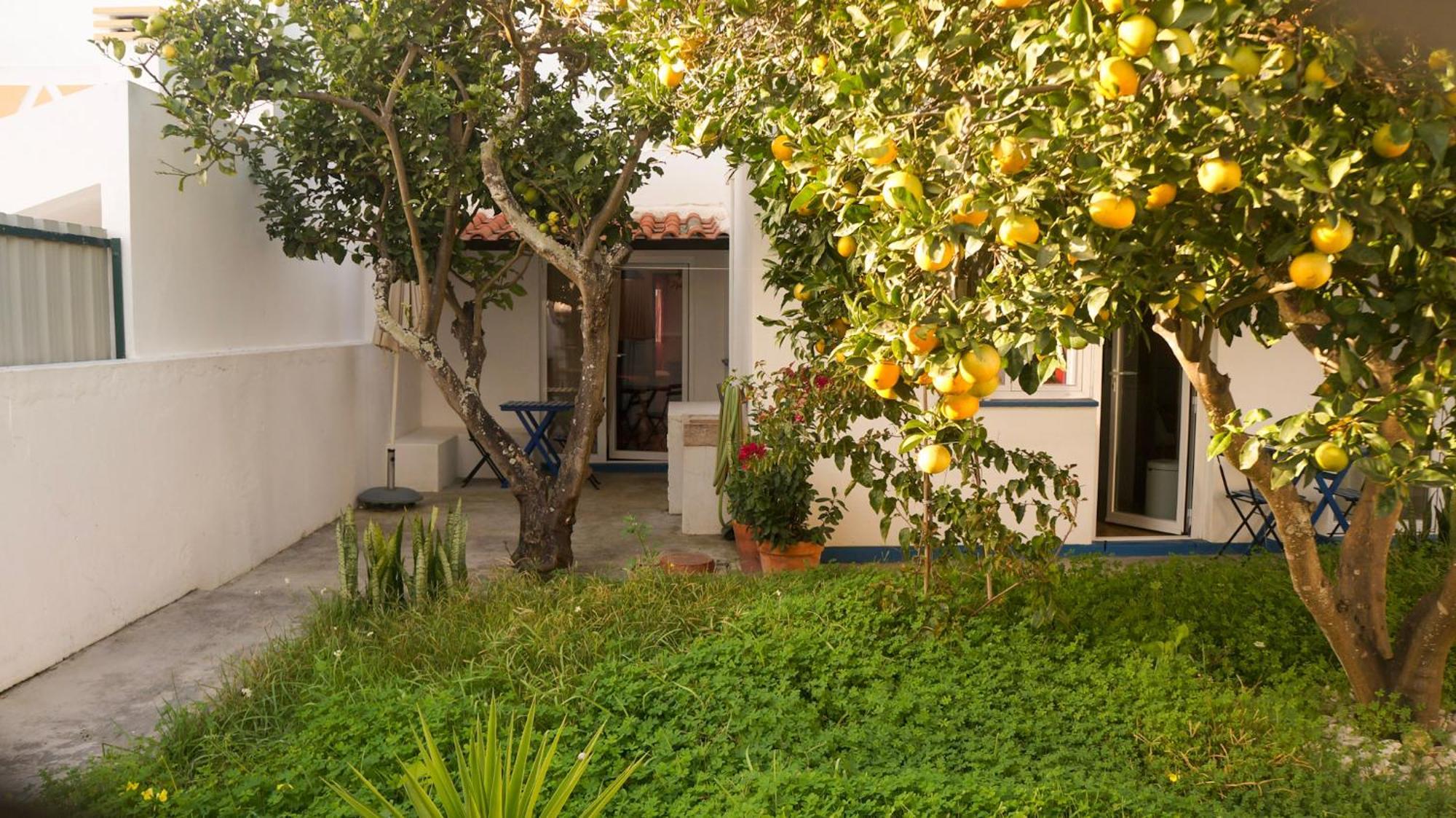 Lemon Tree House By Stay In Alentejo Vila Nova de Milfontes Buitenkant foto